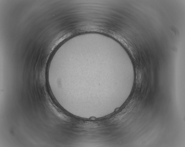 X0000111490390200908111229
