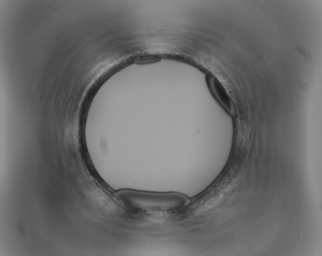 X0000111490391200908111229