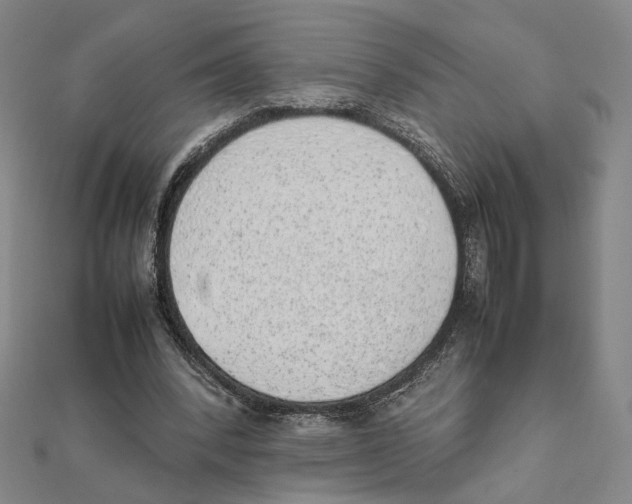 X0000111490392200908111229