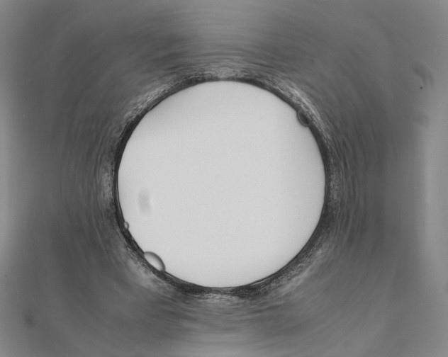 X0000111490393200908111229