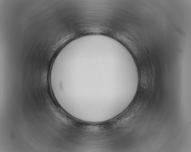 X0000111490394200908111229