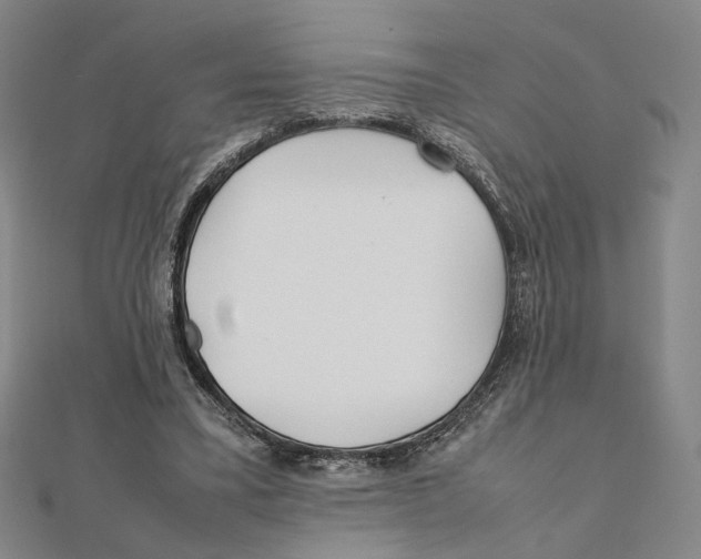 X0000111490395200908111229
