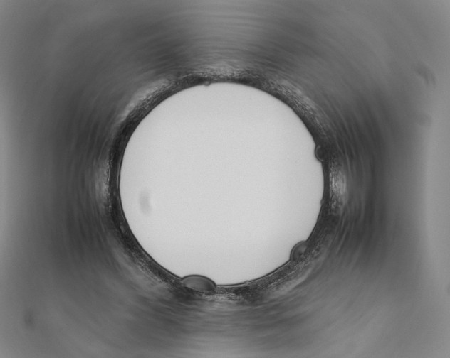 X0000111490396200908111229