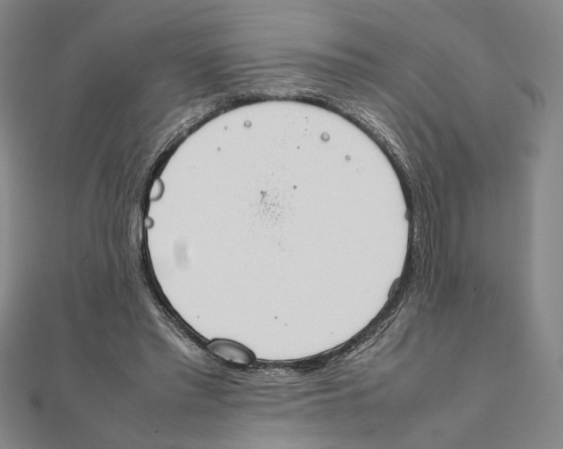 X0000111490397200908111228
