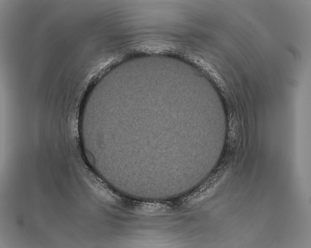 X0000111490399200908111228