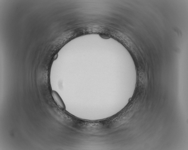 X0000111490401200908111228