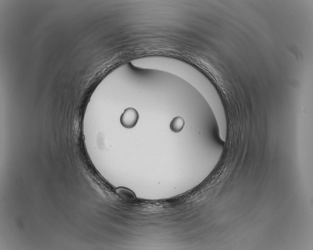 X0000111490405200908111228