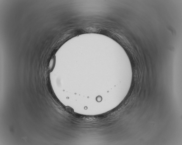X0000111490409200908111228
