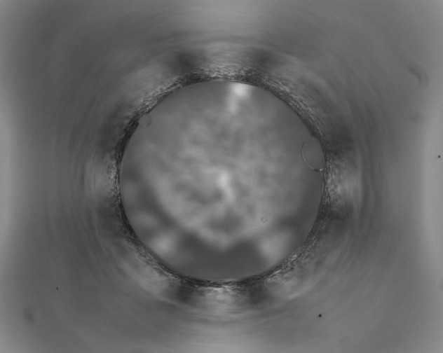 X0000111490411200908111228