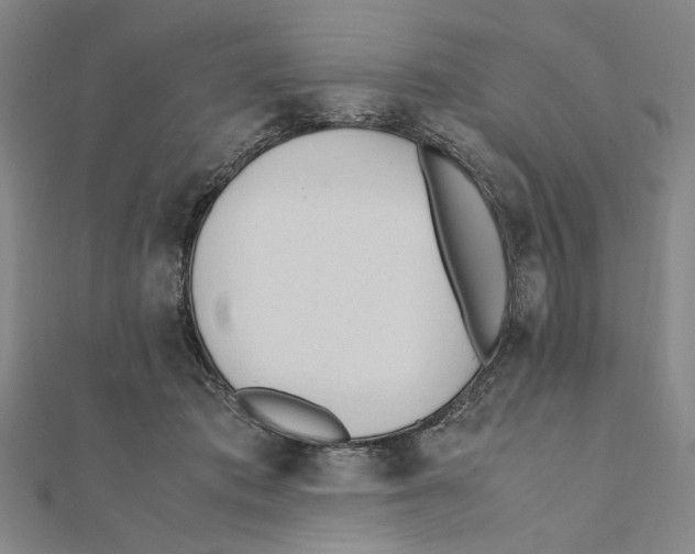 X0000111490413200908111228
