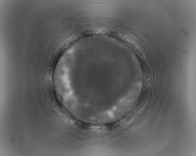 X0000111490415200908111228