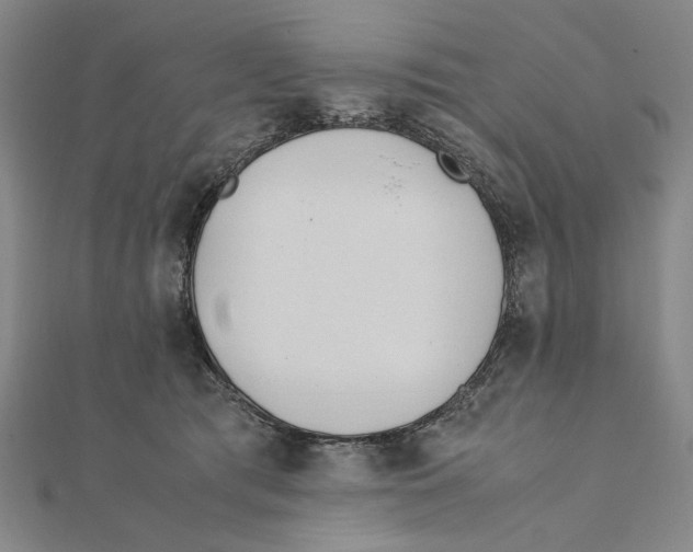 X0000111490417200908111228