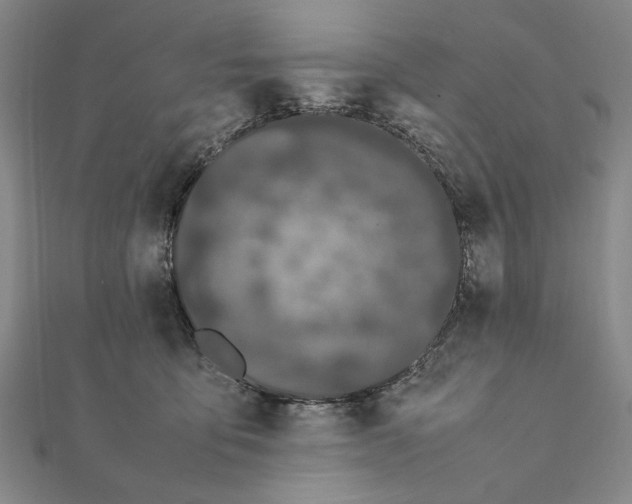 X0000111490419200908111228