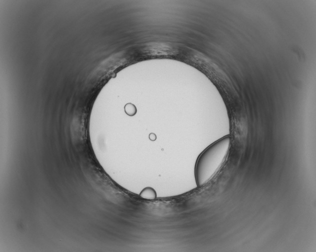 X0000111490422200908111228