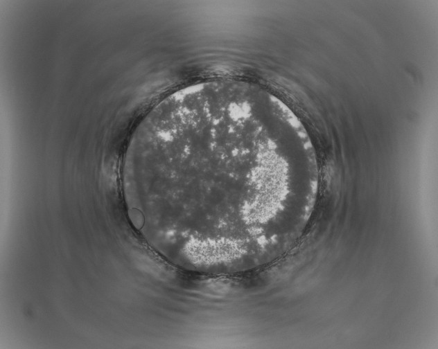 X0000111490423200908111228