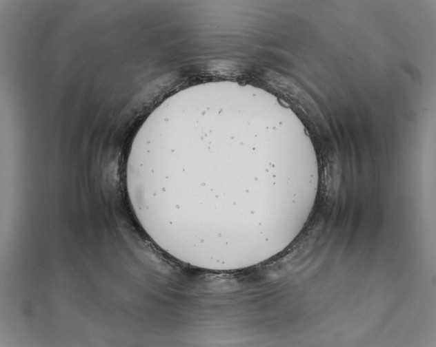 X0000111490424200908111228