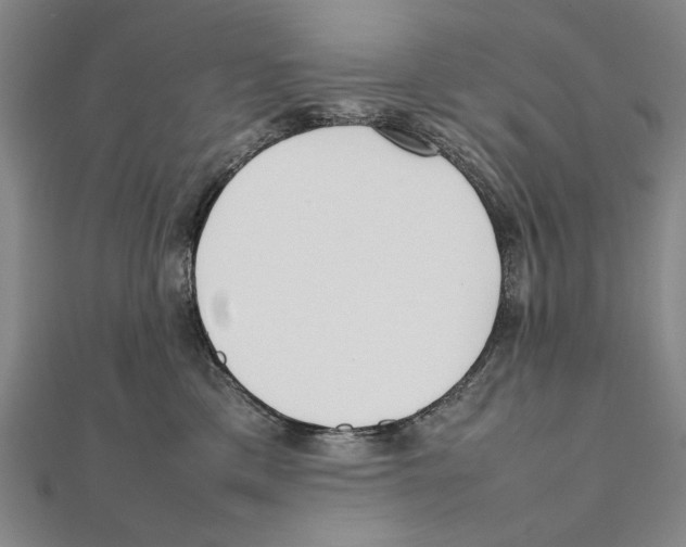 X0000111490425200908111228