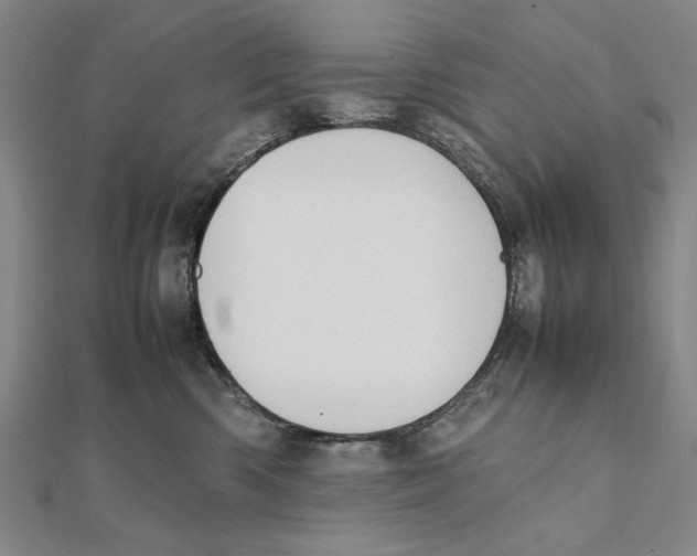 X0000111490426200908111228