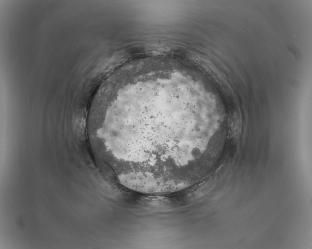 X0000111490427200908111228