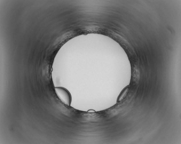 X0000111490428200908111228