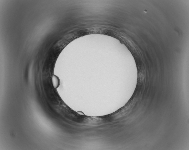 X0000111490429200908111228