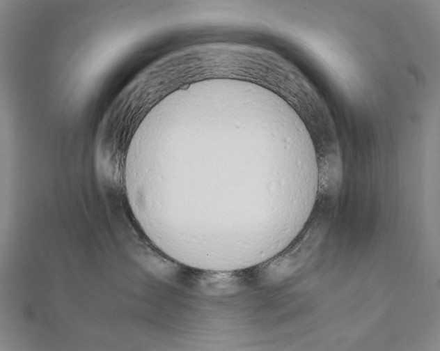 X0000111490431200908111228