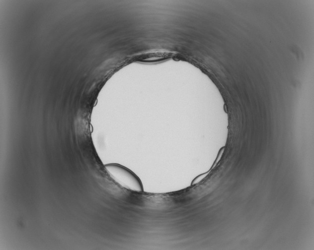 X0000111490432200908111228
