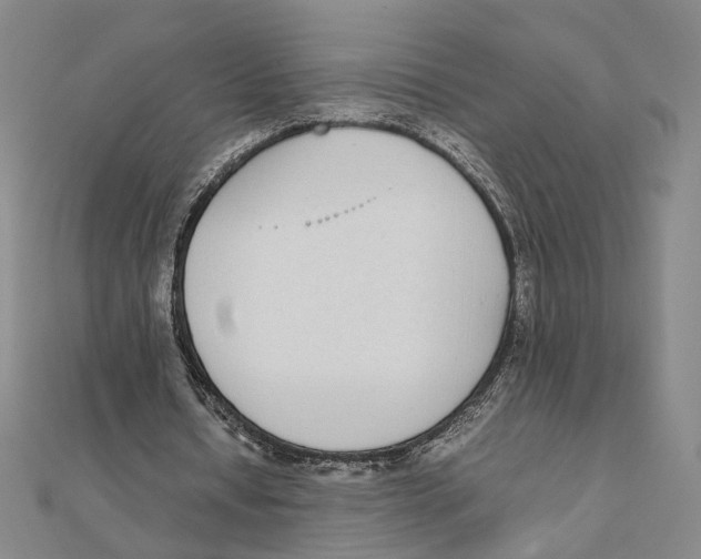 X0000111490434200908111227