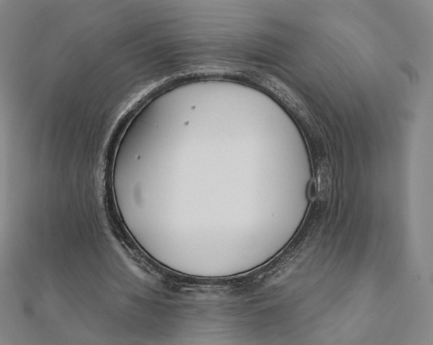 X0000111490436200908111227