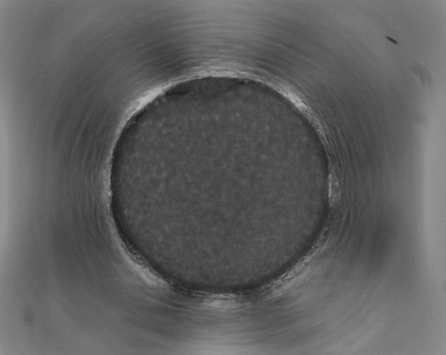 X0000111490438200908111227