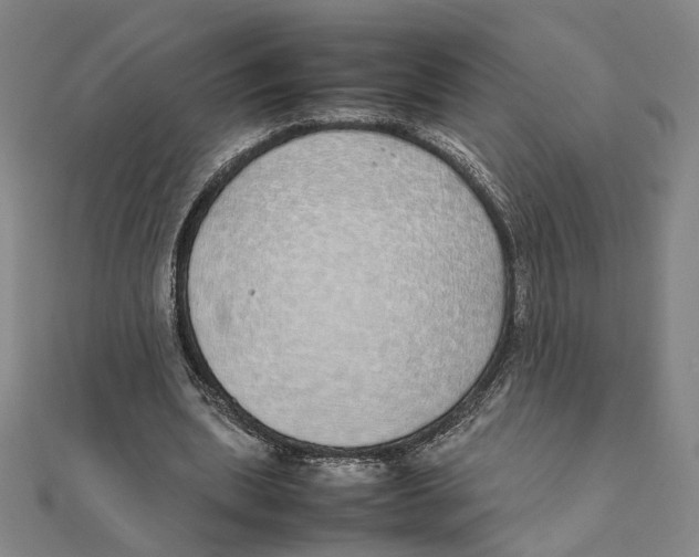 X0000111490439200908111227