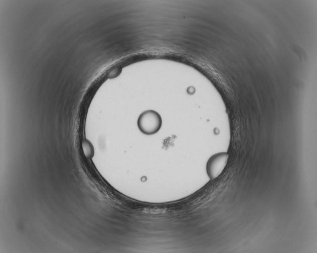 X0000111490440200908111227