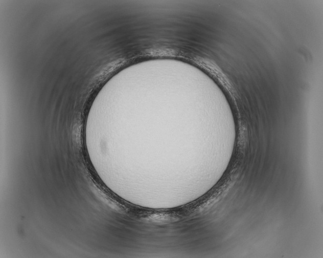 X0000111490441200908111227