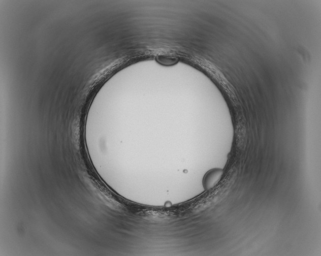 X0000111490442200908111227