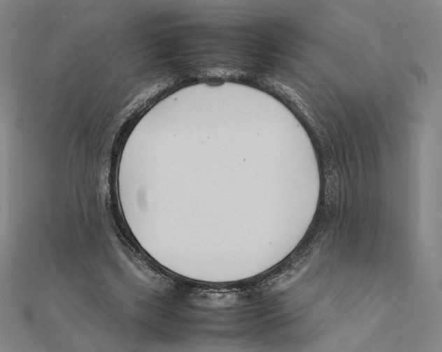 X0000111490443200908111227