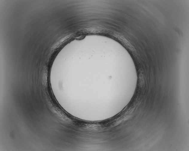 X0000111490446200908111227