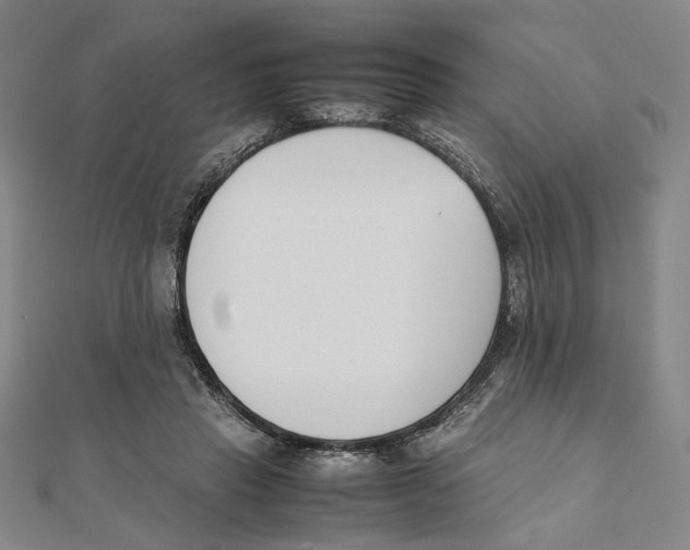 X0000111490453200908111228