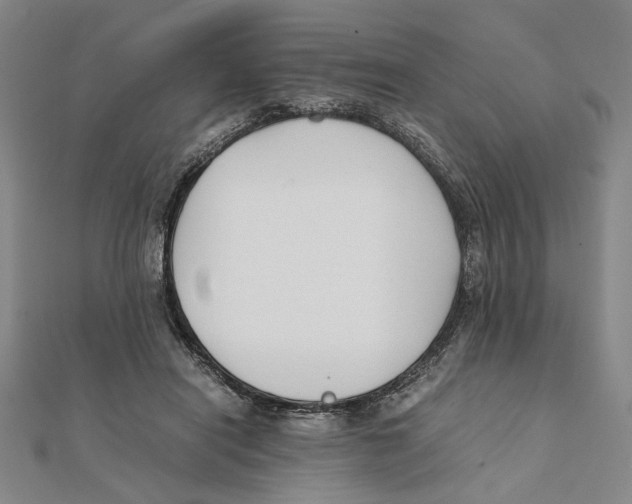 X0000111490454200908111228