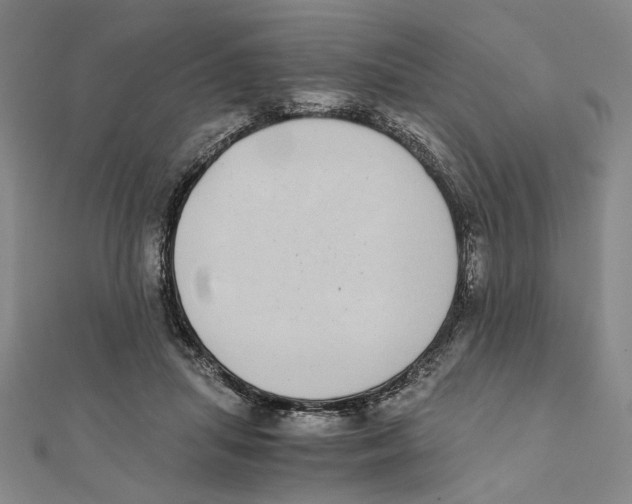 X0000111490455200908111228