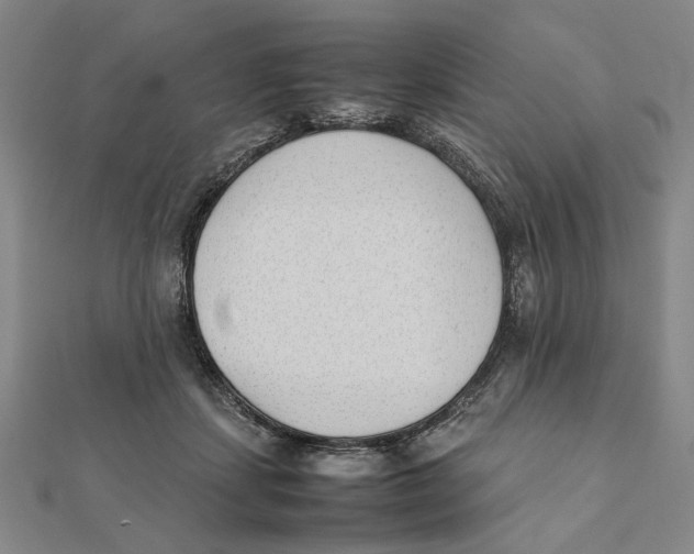 X0000111490459200908111228