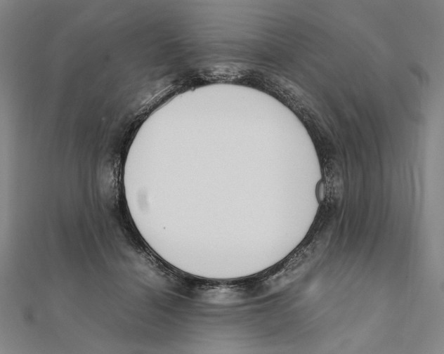X0000111490460200908111228