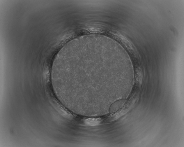 X0000111490465200908111228
