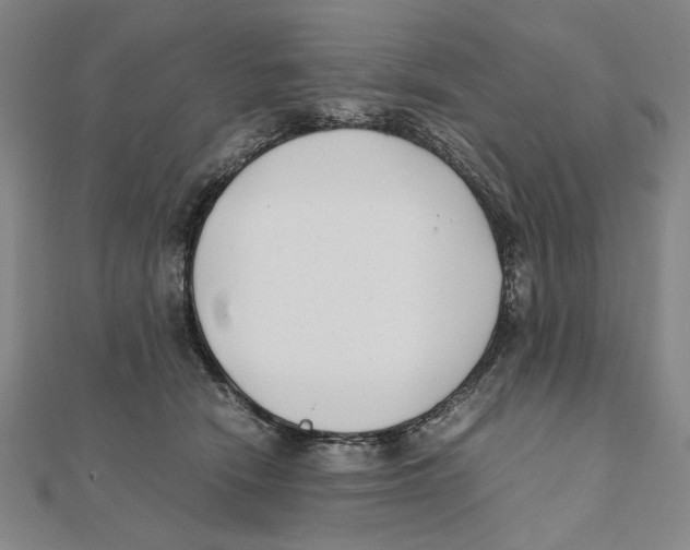 X0000111490466200908111228