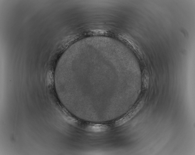 X0000111490467200908111228