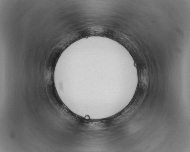 X0000111490468200908111228