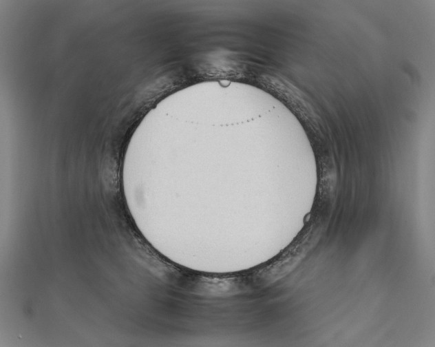 X0000111490469200908111228