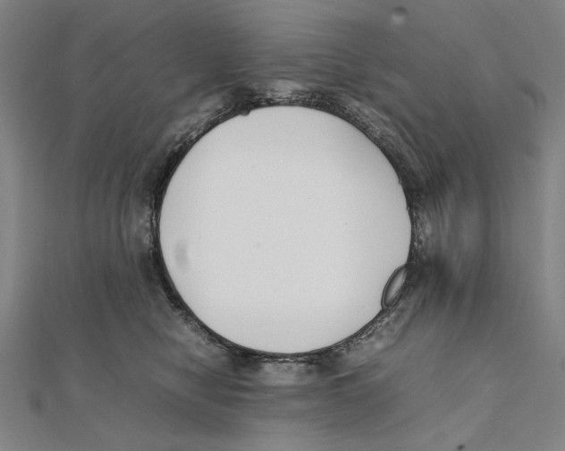 X0000111490470200908111228