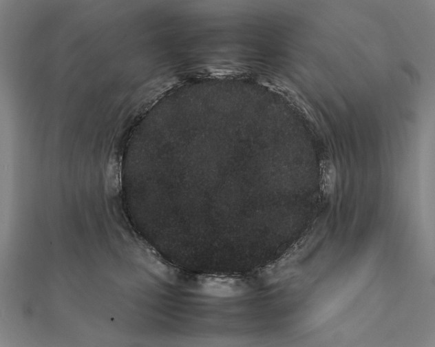 X0000111490471200908111228