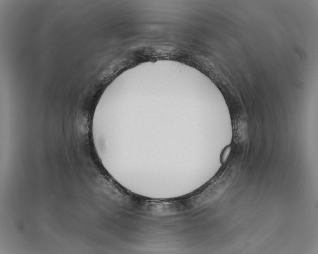 X0000111490472200908111228