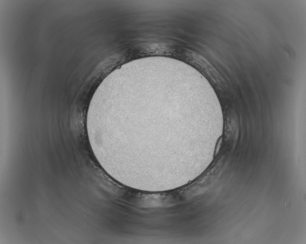 X0000111490473200908111228